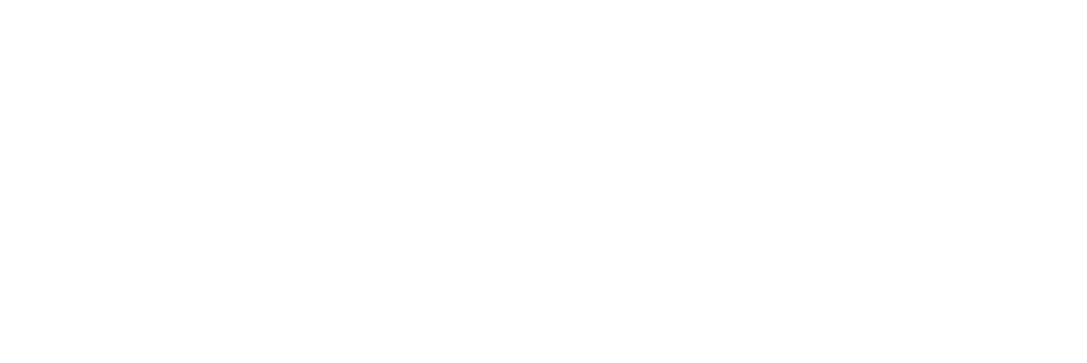 ALZ Blood Test