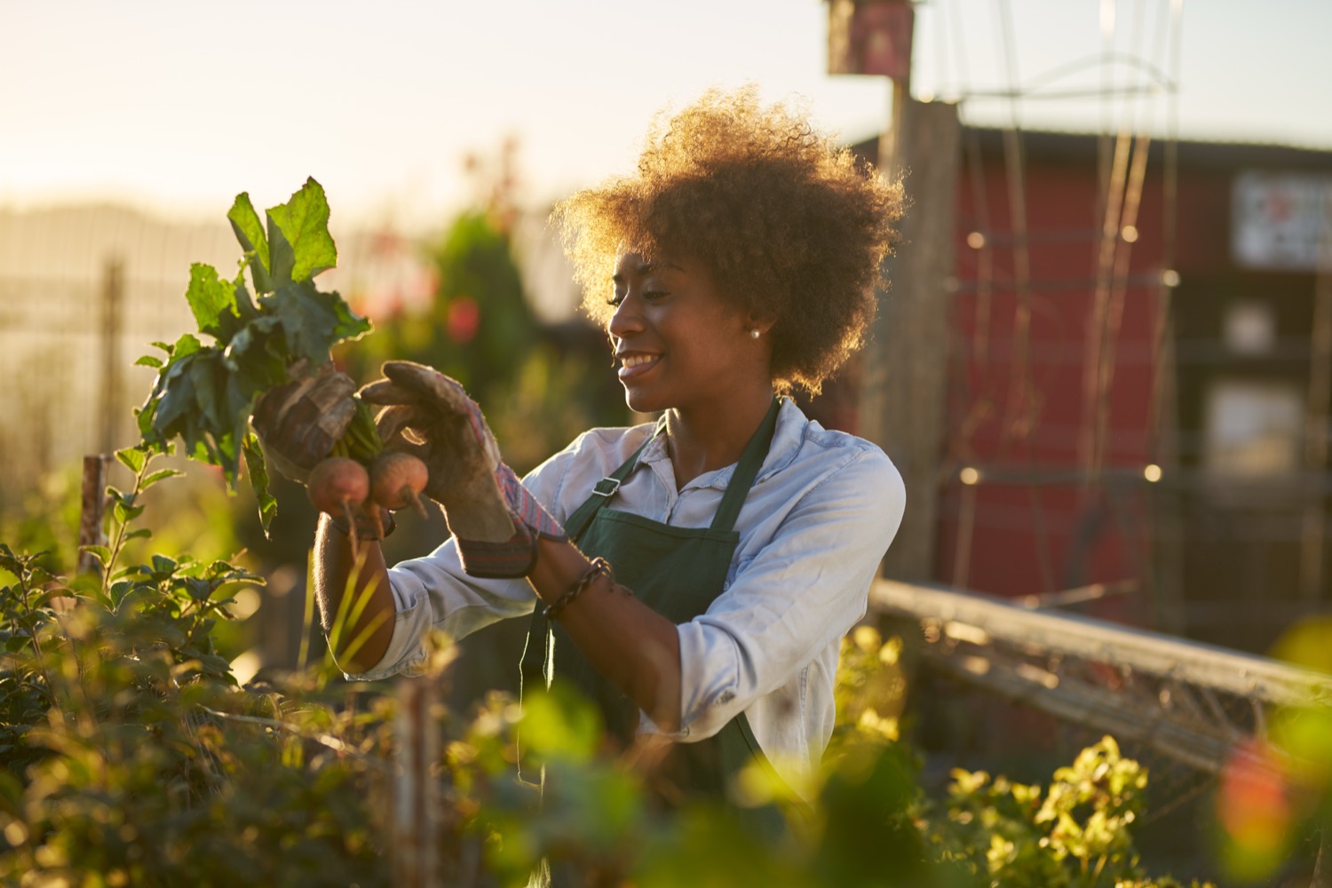 A woman enjoying time gardening outdoors